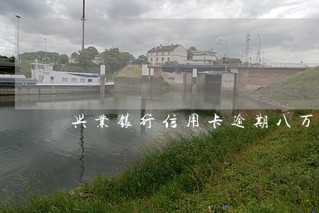 兴业银行信用卡逾期八万 兴业银行信用卡逾期八万