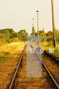 兴业银行信用卡逾期减免政策