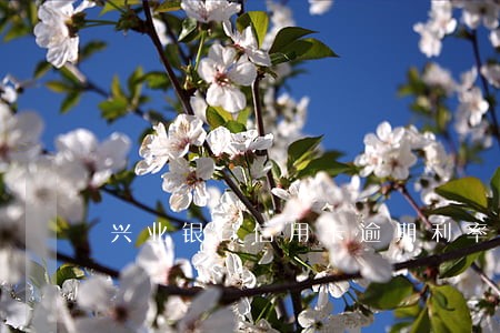 兴业银行信用卡逾期利率 兴业银行信用卡逾期利率