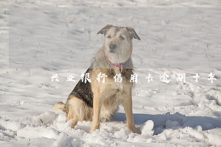 兴业银行信用卡逾期十年 兴业银行信用卡逾期十年