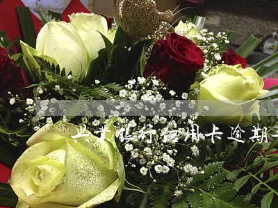 兴业银行信用卡逾期半年怎么办 兴业银行信用卡逾期半年怎么办