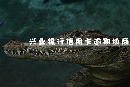 兴业银行信用卡逾期协商只还本金
