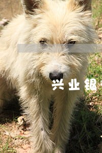 兴业银行信用卡逾期去公安局 兴业银行信用卡逾期去公安局