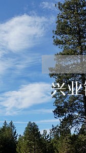 兴业银行信用卡逾期去我家 兴业银行信用卡逾期去我家