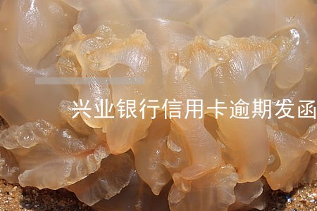 兴业银行信用卡逾期发函 兴业银行信用卡逾期发函