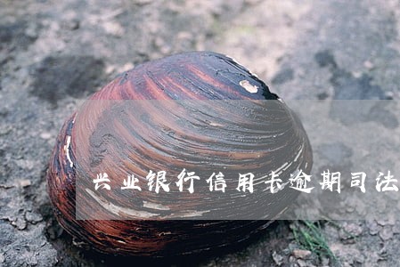 兴业银行信用卡逾期司法局追缴 兴业银行信用卡逾期司法局追缴
