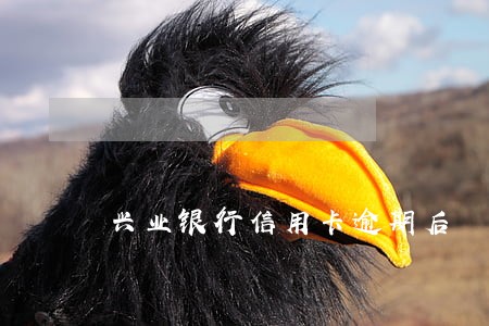 兴业银行信用卡逾期后