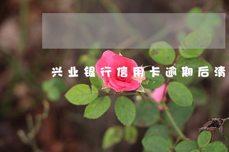 兴业银行信用卡逾期后清算 兴业银行信用卡逾期后清算