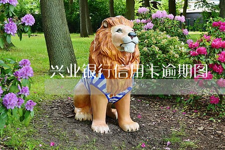 兴业银行信用卡逾期图 兴业银行信用卡逾期图