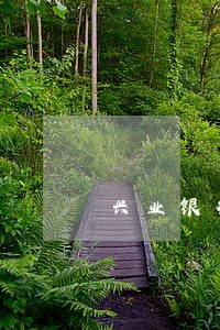 兴业银行信用卡逾期处理