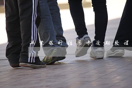 兴业银行信用卡逾期处理流程 兴业银行信用卡逾期处理流程