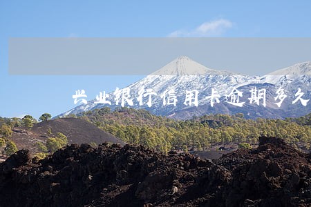 兴业银行信用卡逾期多久会立案 兴业银行信用卡逾期多久会立案