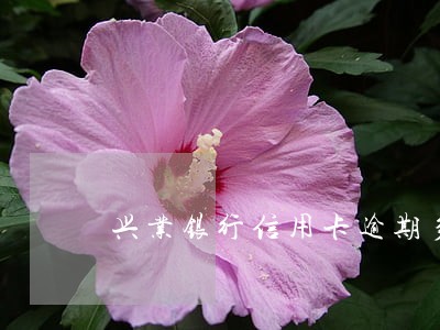 兴业银行信用卡逾期多久停卡