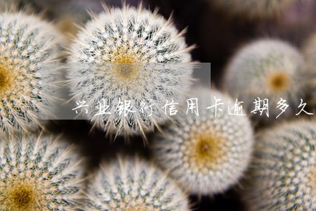 兴业银行信用卡逾期多久收到消息 兴业银行信用卡逾期多久收到消息
