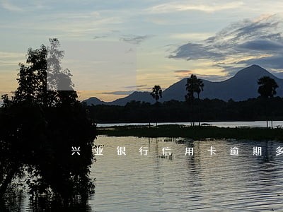 兴业银行信用卡逾期多长时间消除