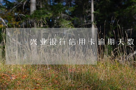 兴业银行信用卡逾期天数征信 兴业银行信用卡逾期天数征信
