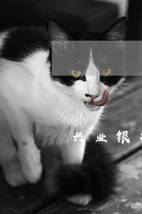 兴业银行信用卡逾期寄挂号信 兴业银行信用卡逾期寄挂号信