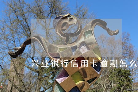 兴业银行信用卡逾期怎么办贴吧