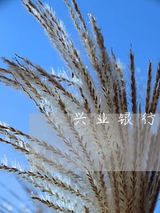 兴业银行信用卡逾期怎样解卡 兴业银行信用卡逾期怎样解卡