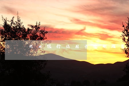 兴业银行信用卡逾期政策
