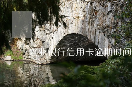 兴业银行信用卡逾期时间 兴业银行信用卡逾期时间