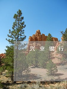兴业银行信用卡逾期是多少天