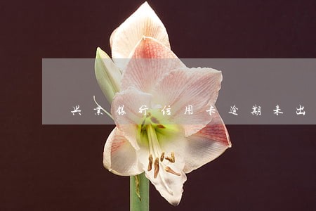 兴业银行信用卡逾期未出账单 兴业银行信用卡逾期未出账单