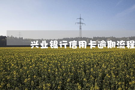 兴业银行信用卡逾期流程