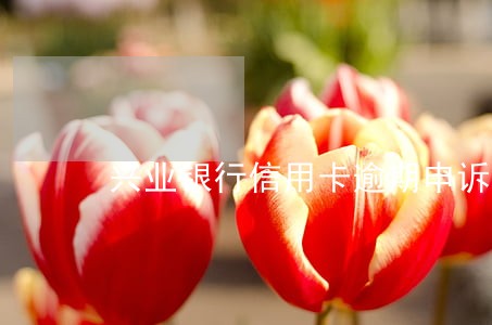 兴业银行信用卡逾期申诉 兴业银行信用卡逾期申诉