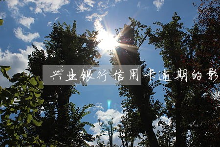 兴业银行信用卡逾期的影响