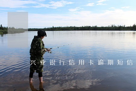 兴业银行信用卡逾期短信 兴业银行信用卡逾期短信