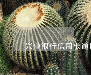 兴业银行信用卡逾期立案流程 兴业银行信用卡逾期立案流程