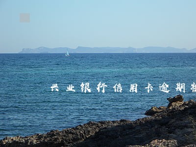 兴业银行信用卡逾期被拒怎么办 兴业银行信用卡逾期被拒怎么办