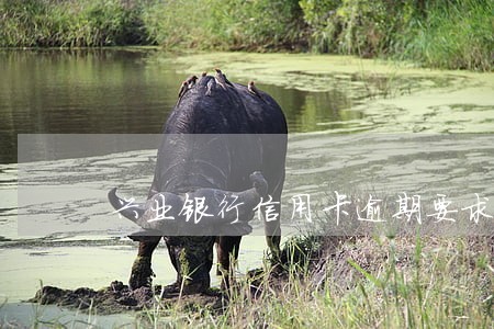 兴业银行信用卡逾期要求还全款