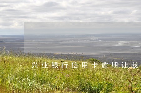 兴业银行信用卡逾期让我全额还款 兴业银行信用卡逾期让我全额还款