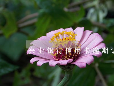 兴业银行信用卡逾期诉前调解 兴业银行信用卡逾期诉前调解