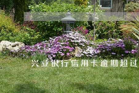兴业银行信用卡逾期超过3天 兴业银行信用卡逾期超过3天