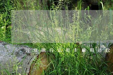 兴业银行信用卡逾期还款三天