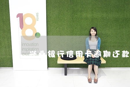兴业银行信用卡逾期还款方式 兴业银行信用卡逾期还款方式