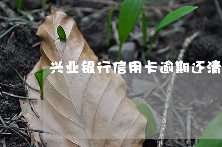 兴业银行信用卡逾期还清后 兴业银行信用卡逾期还清后