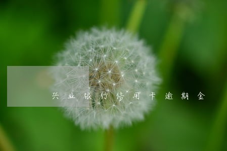 兴业银行信用卡逾期金