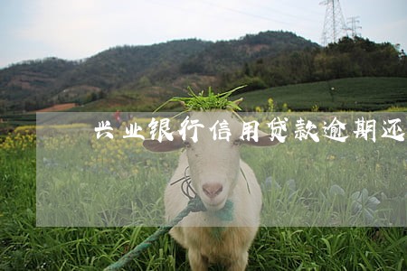 兴业银行信用贷款逾期还款吗 兴业银行信用贷款逾期还款吗