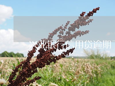 兴业银行信用贷逾期了罚息是多少 兴业银行信用贷逾期了罚息是多少