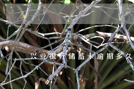 兴业银行储蓄卡逾期多久会上门 兴业银行储蓄卡逾期多久会上门
