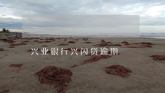 兴业银行兴闪贷逾期 兴业银行兴闪贷逾期