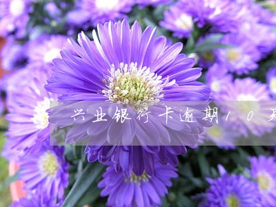 兴业银行卡逾期10天被止付 兴业银行卡逾期10天被止付