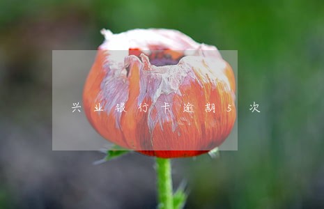 兴业银行卡逾期5次 兴业银行卡逾期5次