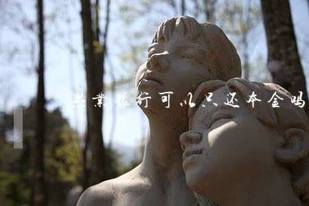兴业银行可以只还本金吗 兴业银行可以只还本金吗