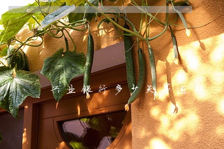 兴业银行多少天算逾期 兴业银行多少天算逾期