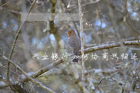 兴业银行如何协商只归还本金 兴业银行如何协商只归还本金